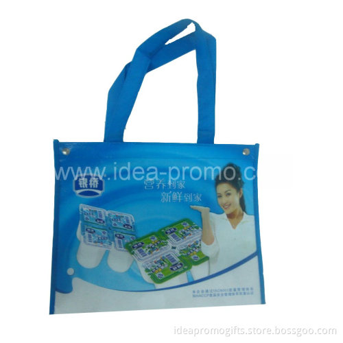 PP Non Woven Shopping Bag (ICMY-077)